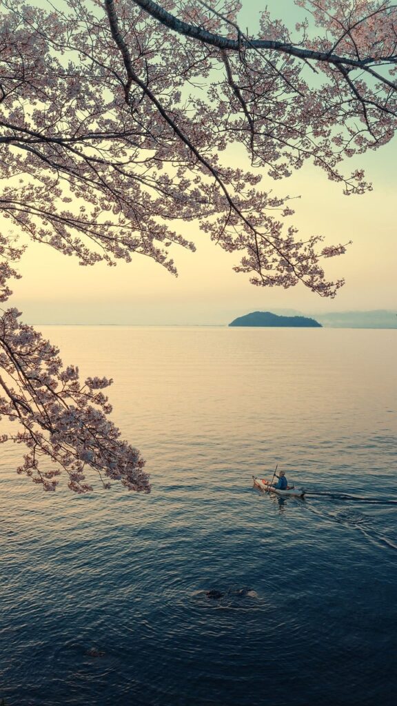50代夫婦におすすめの癒し旅と島旅温泉はどこ？