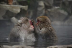 露天風呂付き温泉宿で夫婦向けのおすすめは？