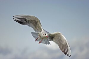 50代夫婦に人気急上昇の贅沢温泉宿はどこ？