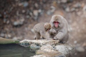 温泉宿はどこがいい？あなたにぴったりの選び方を解説！